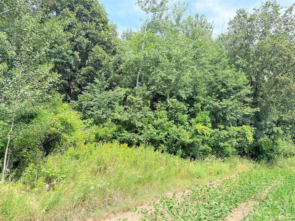 Photo of 10 Acres Lot 3 230th STREET, St Croix Falls, WI 54024 (MLS # 1605794)