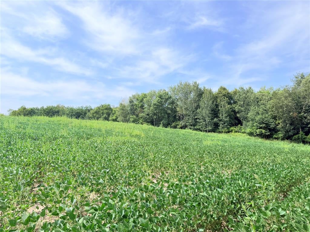 Photo of 10 Acres Lot 3 230th STREET, St Croix Falls, WI 54024 (MLS # 1605794)