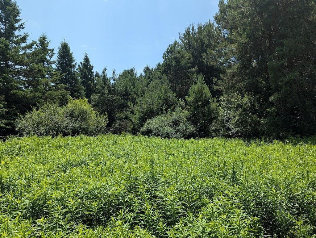 Photo of Diana Circle DRIVE #Lot 4, Merrill, WI 54452 (MLS # 22603008)