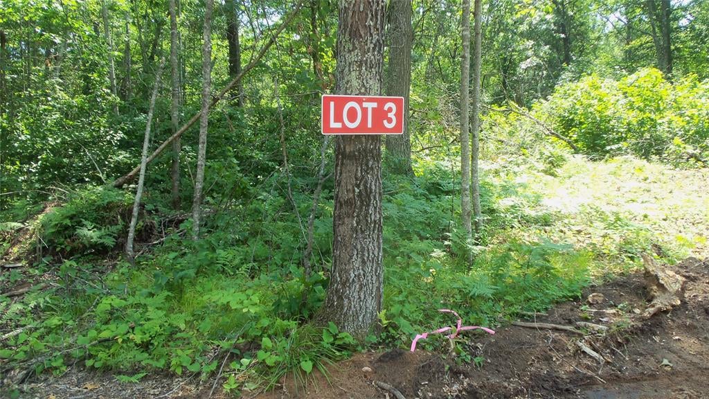 Photo of Lot 3 Birch Tree Trl, Spooner, WI 54801 (MLS # 1603811)