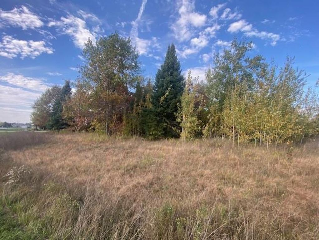 Photo of 860 Torrey Pines WAY #Lot 10, Plover, WI 54467 (MLS # 22505005)