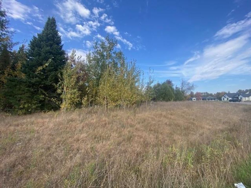 Photo of 860 Torrey Pines WAY #Lot 10, Plover, WI 54467 (MLS # 22505005)