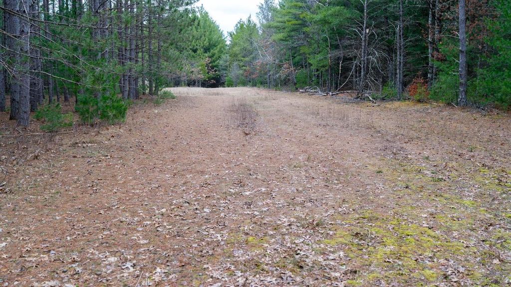Photo of Lot 3 +/- 87 Ac Dover DRIVE, Adams, WI 53910 (MLS # 2020061)
