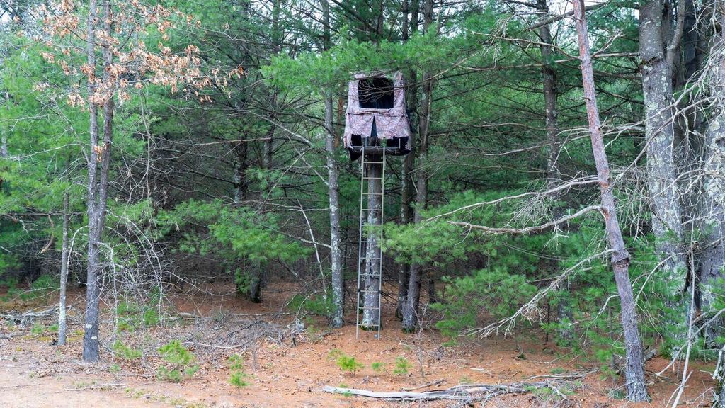 Photo of Lot 3 +/- 87 Ac Dover DRIVE, Adams, WI 53910 (MLS # 2020061)