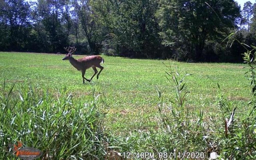 Photo of Chickadee ROAD, Loyal, WI 54446 (MLS # 22505635)