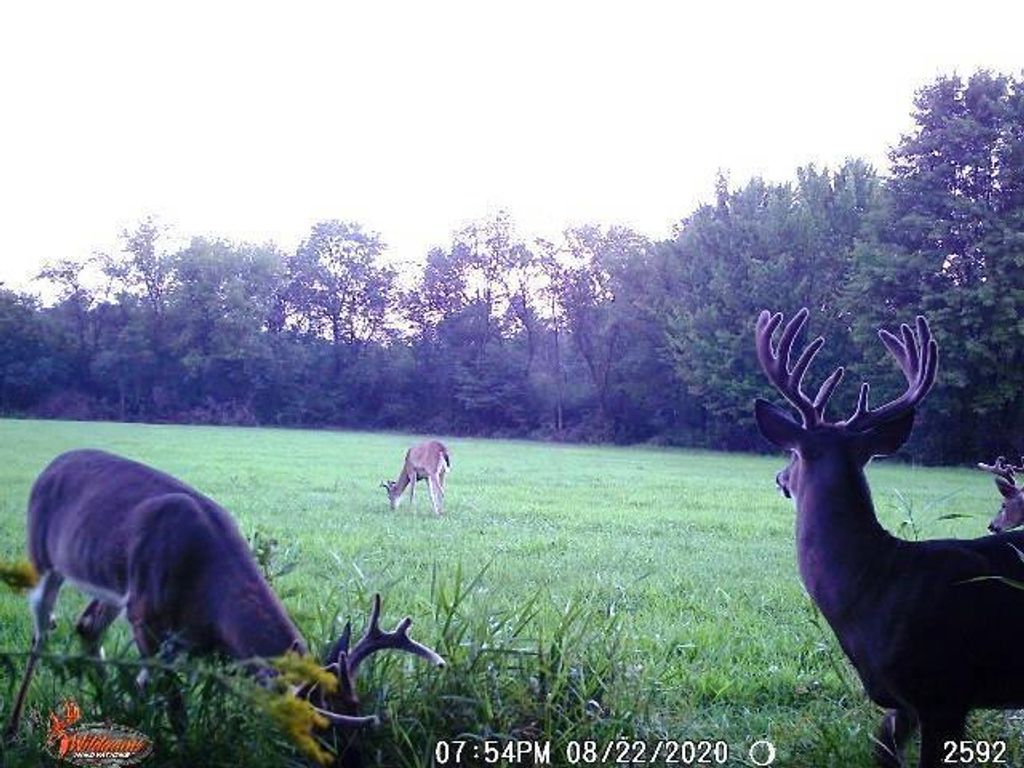 Photo of Chickadee ROAD, Loyal, WI 54446 (MLS # 22505635)