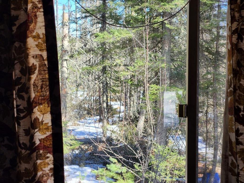 Photo of 7972 Chain Lake ROAD, Eagle River, WI 54521 (MLS # 22601579)