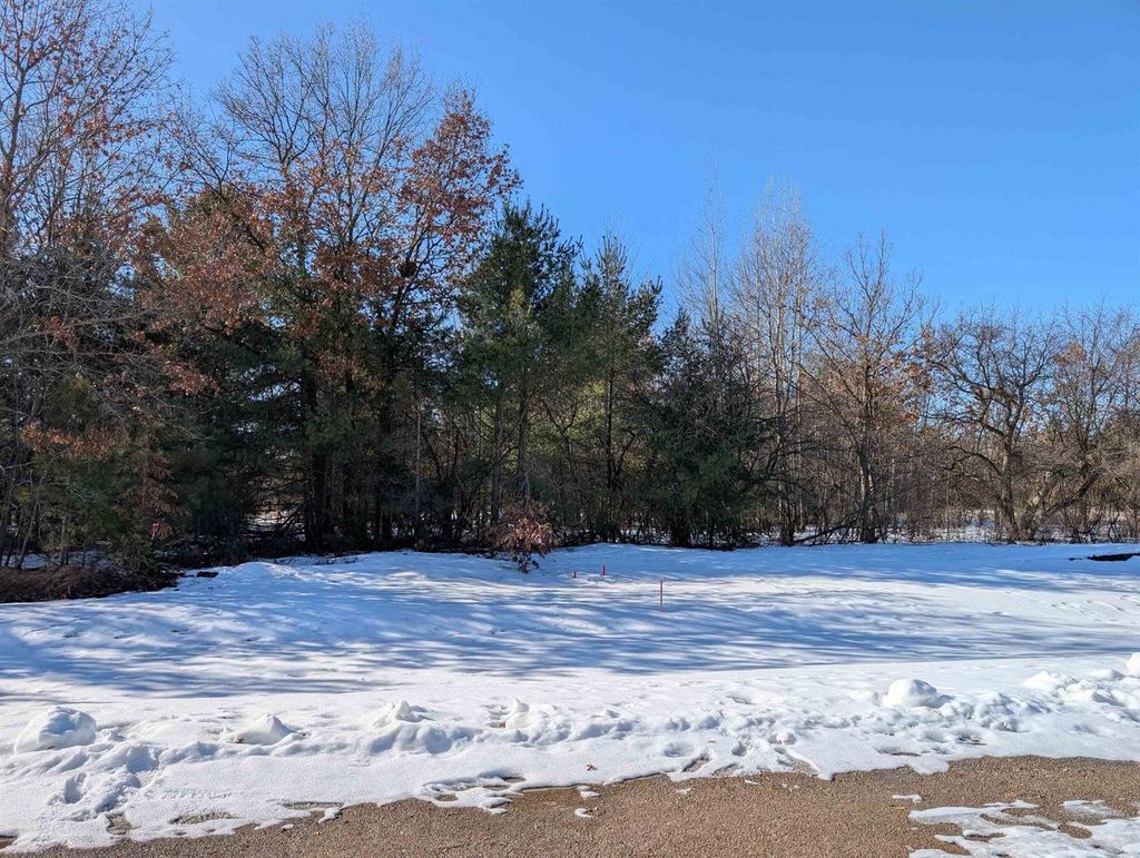 Photo of 3445 Ravenswood WAY #Lot 90, Plover, WI 54467 (MLS # 22600621)
