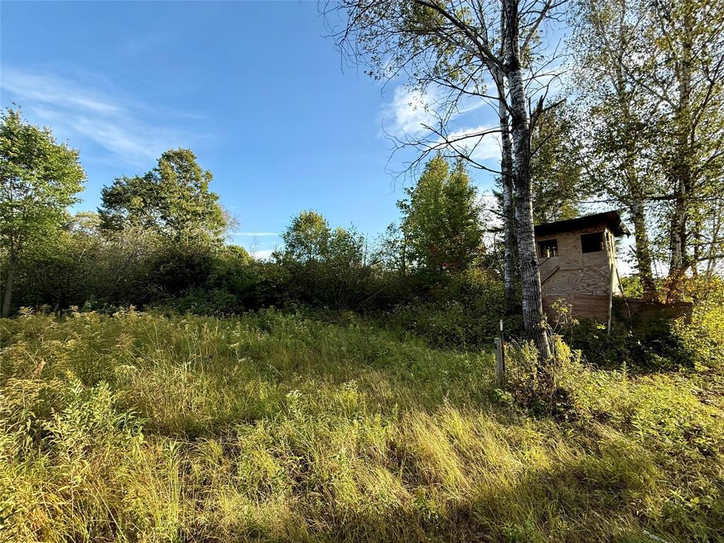 Photo of XX County Rd N, Kennan, WI 54537 (MLS # 1605049)