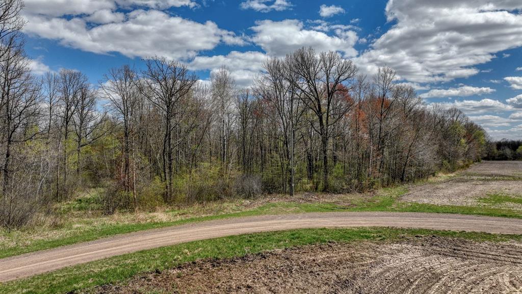 Photo of 27.6 Acres off Helena DRIVE, Conrath, WI 54731 (MLS # 1605499)