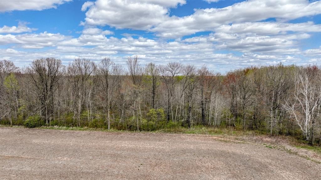 Photo of 27.6 Acres off Helena DRIVE, Conrath, WI 54731 (MLS # 1605499)