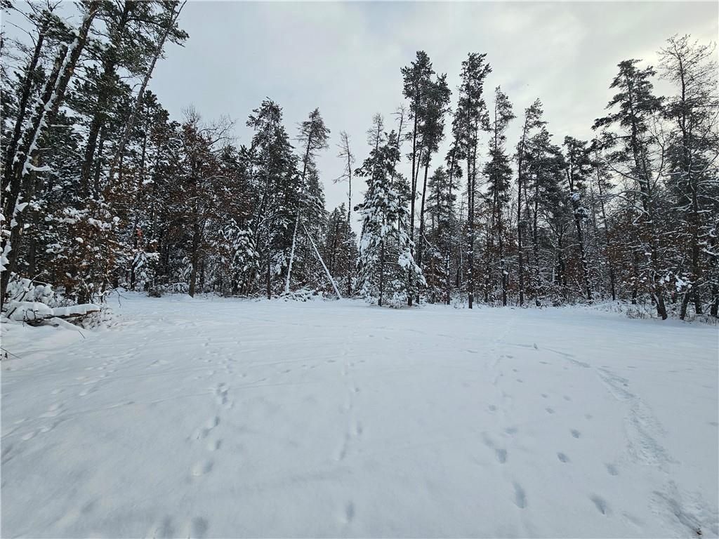 Photo of 0 Wood Duck Lane, Minong, WI 54859 (MLS # 1597746)