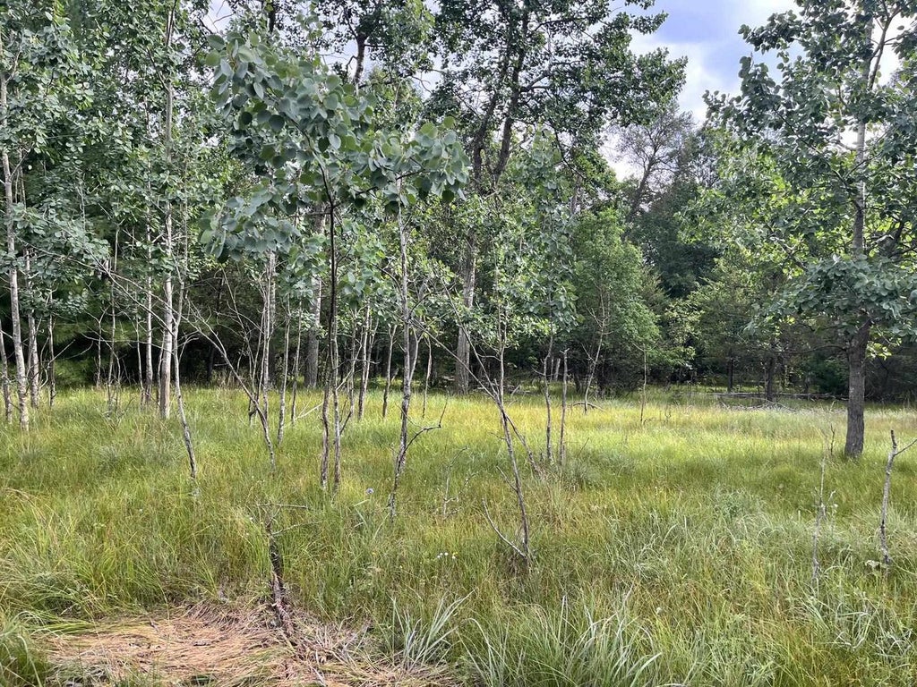 Photo of 3074 13th AVENUE, Grand Marsh, WI 53936 (MLS # 2027186)
