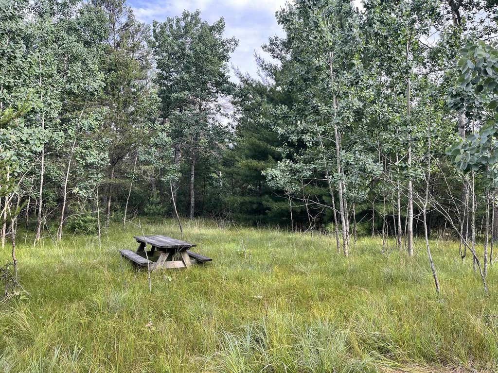 Photo of 3074 13th AVENUE, Grand Marsh, WI 53936 (MLS # 2027186)