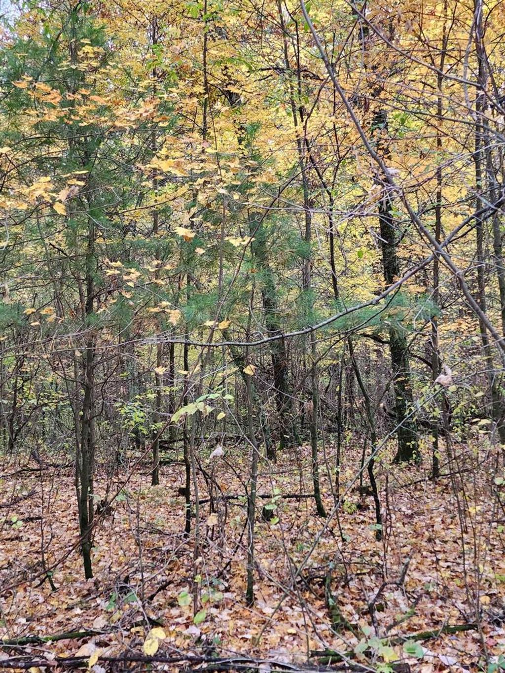 Photo of 1261 Kiddle LANE #Lt92, Union Grove, WI 53182 (MLS # 1945222)