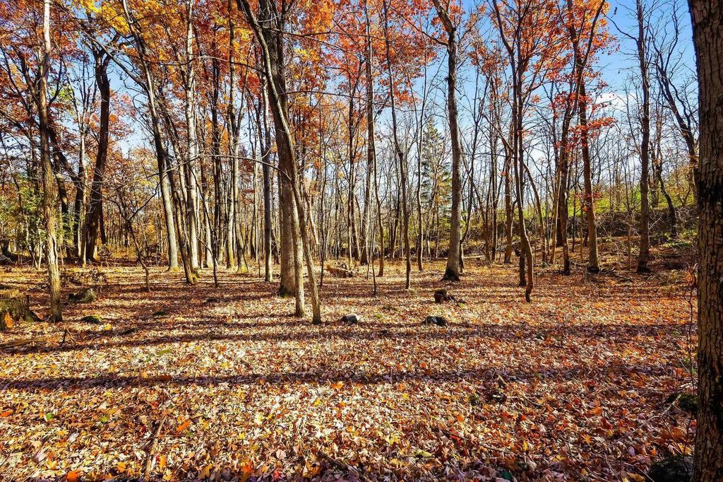 Photo of Lot 2 County Road E, Pardeeville, WI 53954 (MLS # 2012394)