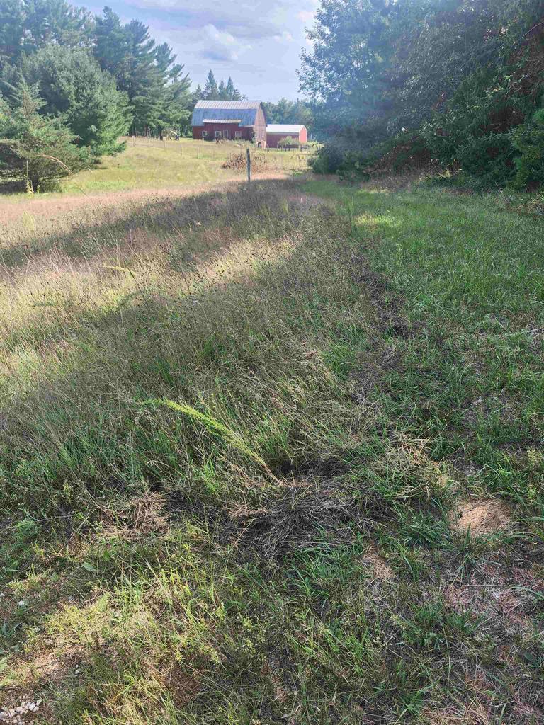 Photo of Skyview, Waupaca, WI 54981 (MLS # 50332092)