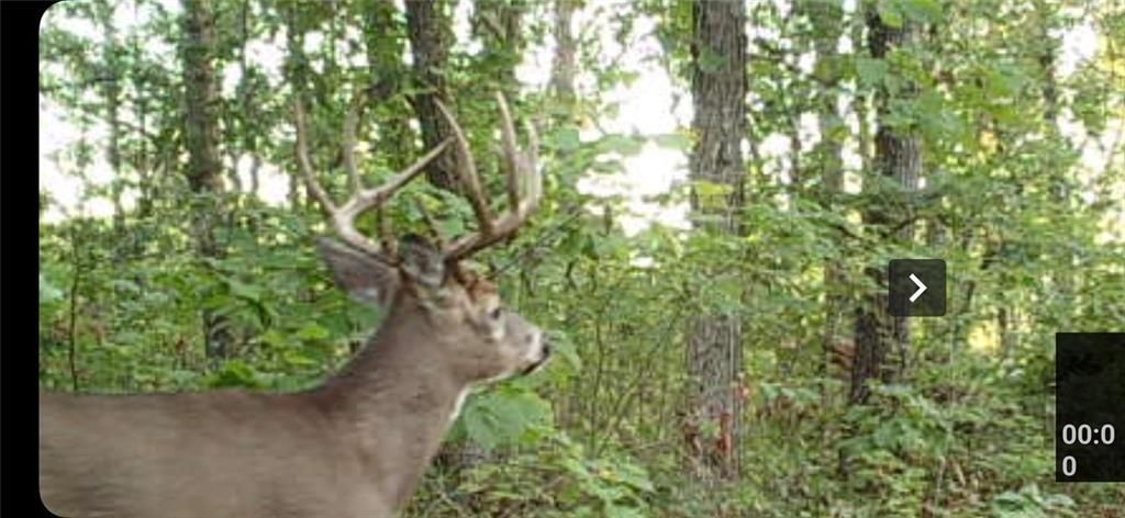 Photo of XX153 River ROAD, St Croix Falls, WI 54024 (MLS # 1596215)