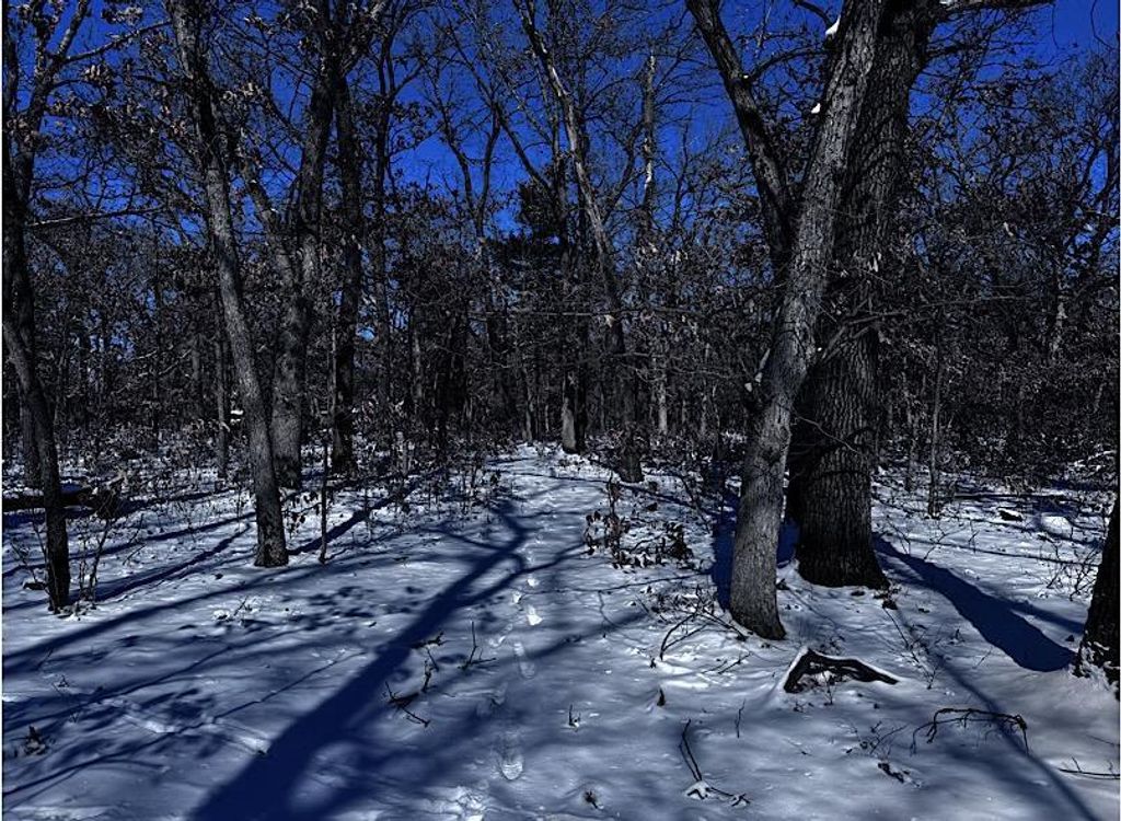 Photo of Lot 10 Bayview Lane, Lyndon Station, WI 53944 (MLS # 2017254)