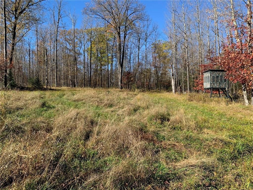 Photo of 31+/- A On Golob ROAD, Winter, WI 54896 (MLS # 1596428)
