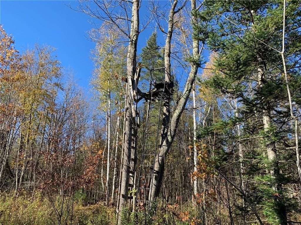 Photo of 31+/- A On Golob ROAD, Winter, WI 54896 (MLS # 1596428)