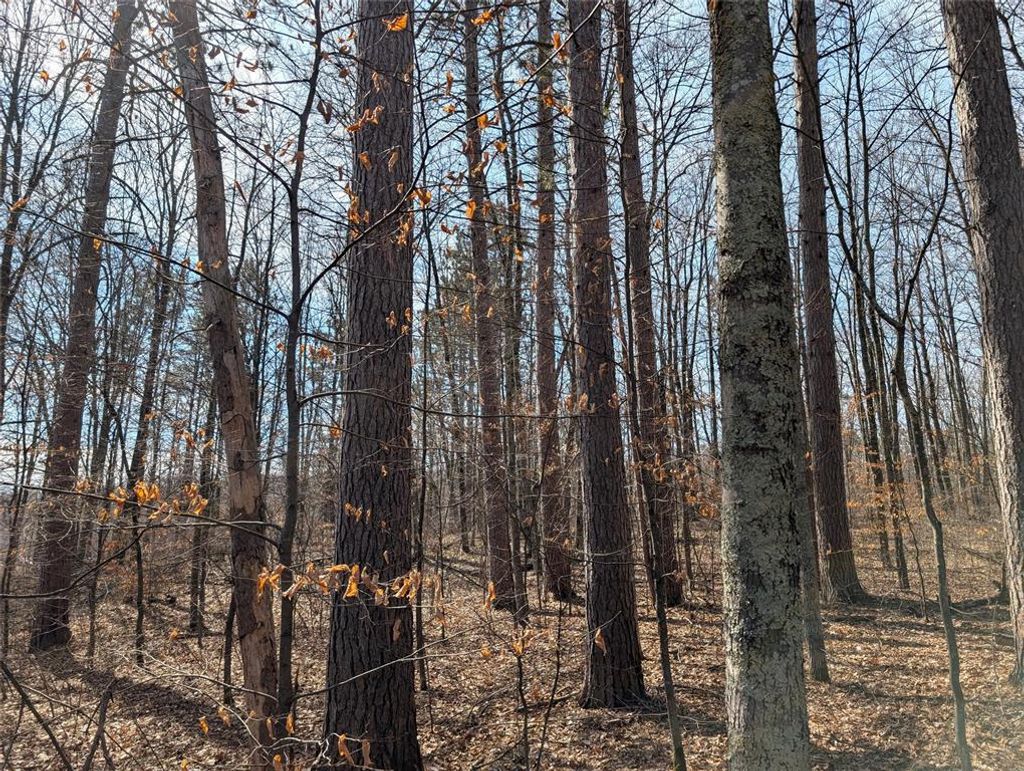 Photo of 00 Larson Rd, Springbrook, WI 54875 (MLS # 1599465)