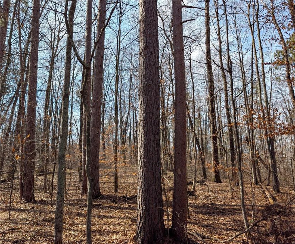 Photo of 00 Larson Rd, Springbrook, WI 54875 (MLS # 1599465)