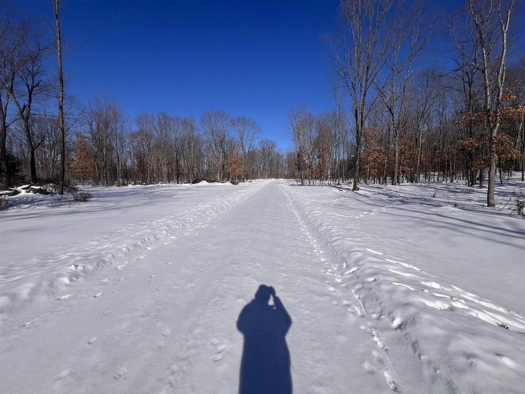 Photo of Rhett LANE, Wausaukee, WI 54177 (MLS # 50320719)