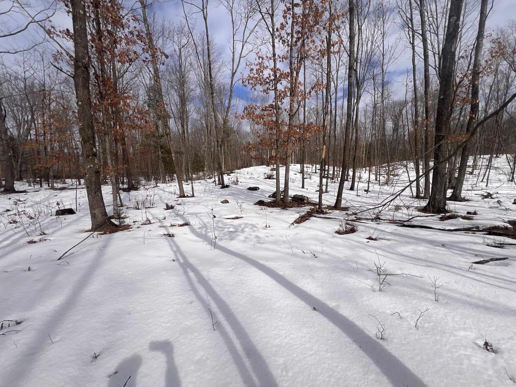 Photo of Rhett LANE, Wausaukee, WI 54177 (MLS # 50320719)