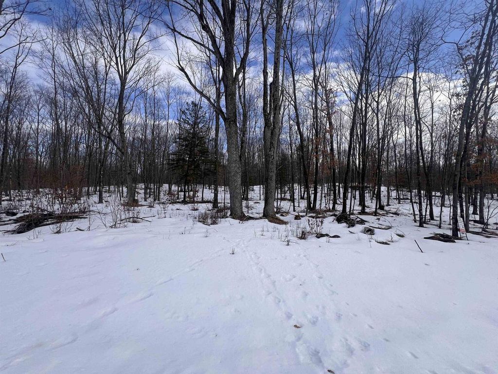 Photo of Rhett LANE, Wausaukee, WI 54177 (MLS # 50320719)