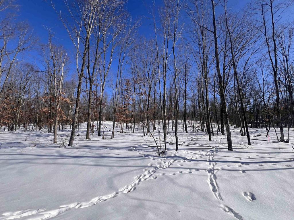 Photo of Rhett LANE, Wausaukee, WI 54177 (MLS # 50320719)