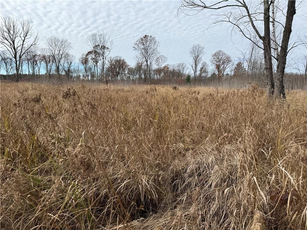 Photo of OOO County Rd. W, Granton, WI 54436 (MLS # 1596882)