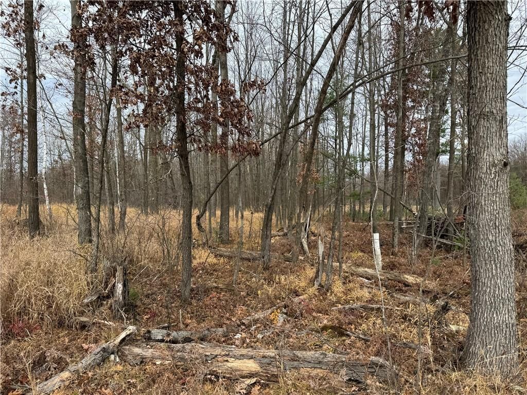 Photo of OOO County Rd. W, Granton, WI 54436 (MLS # 1596882)