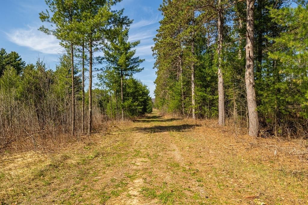 Photo of 0 Prairie ROAD, Osseo, WI 54758 (MLS # 1600338)