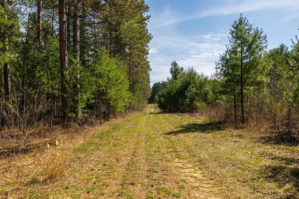 Photo of 0 Prairie ROAD, Osseo, WI 54758 (MLS # 1600338)