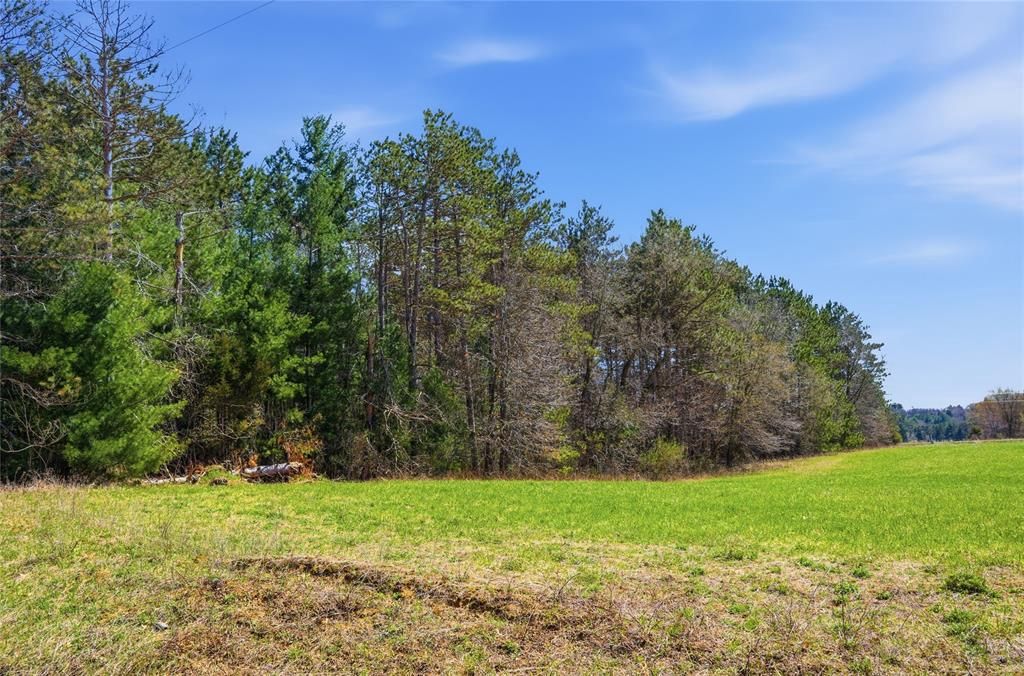 Photo of 0 Nelson Road and WI-37, Mondovi, WI 54755 (MLS # 1600320)