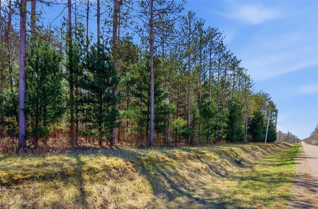 Photo of 0 Nelson Road and WI-37, Mondovi, WI 54755 (MLS # 1600320)