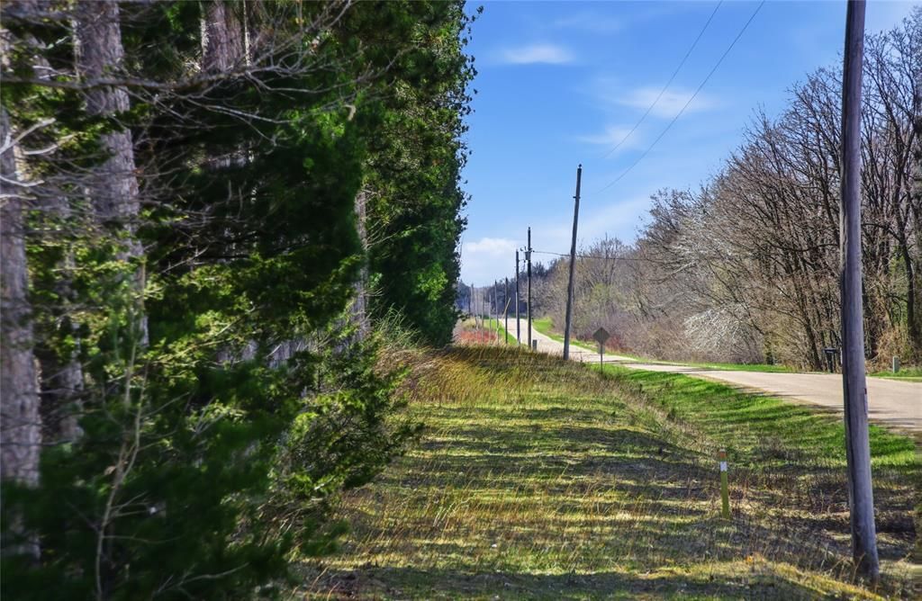 Photo of 0 Nelson Road and WI-37, Mondovi, WI 54755 (MLS # 1600320)