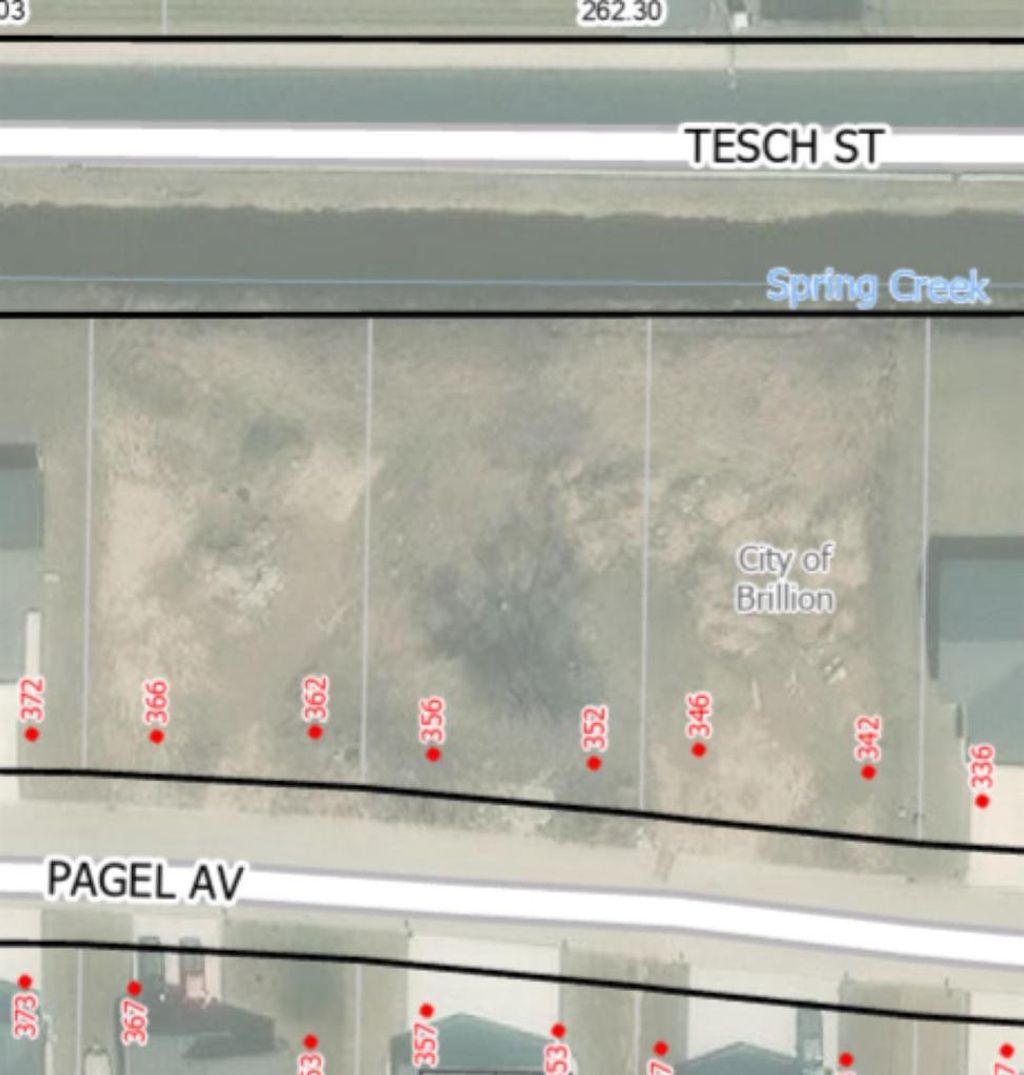 Photo of 356 Pagel AVENUE, Brillion, WI 54110 (MLS # 50323904)