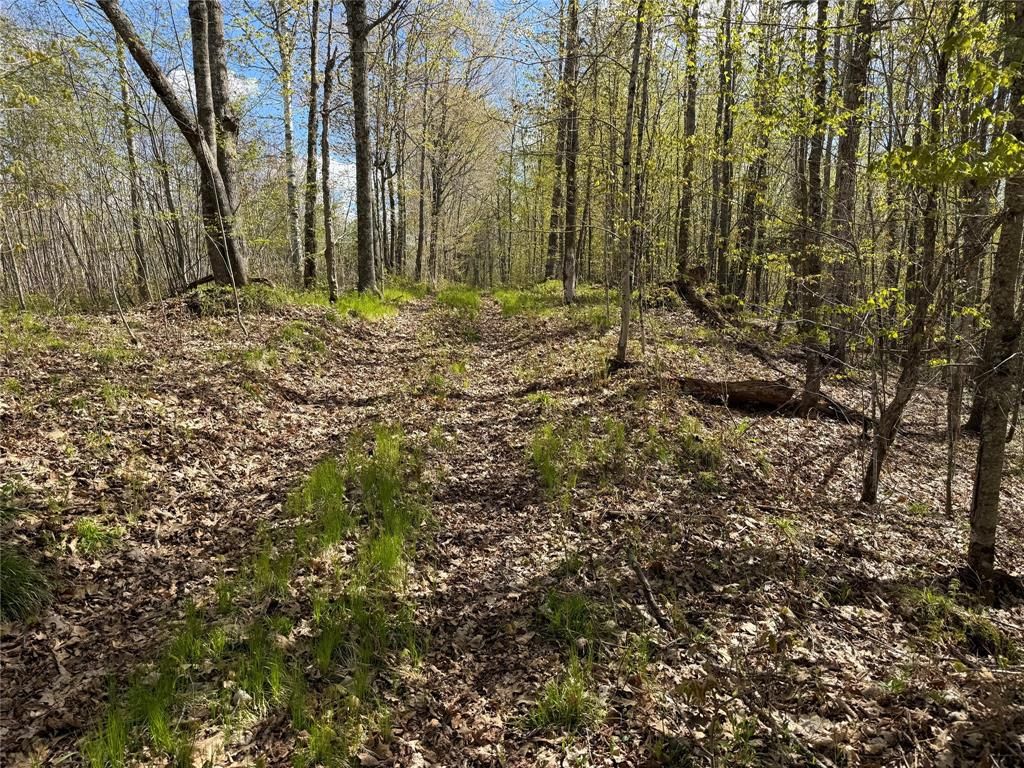 Photo of XXX Leonard ROAD, Stone Lake, WI 54876 (MLS # 1600867)
