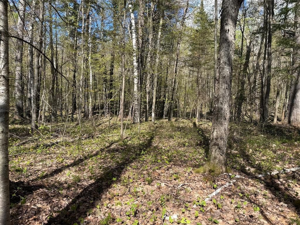Photo of XXX Leonard ROAD, Stone Lake, WI 54876 (MLS # 1600867)