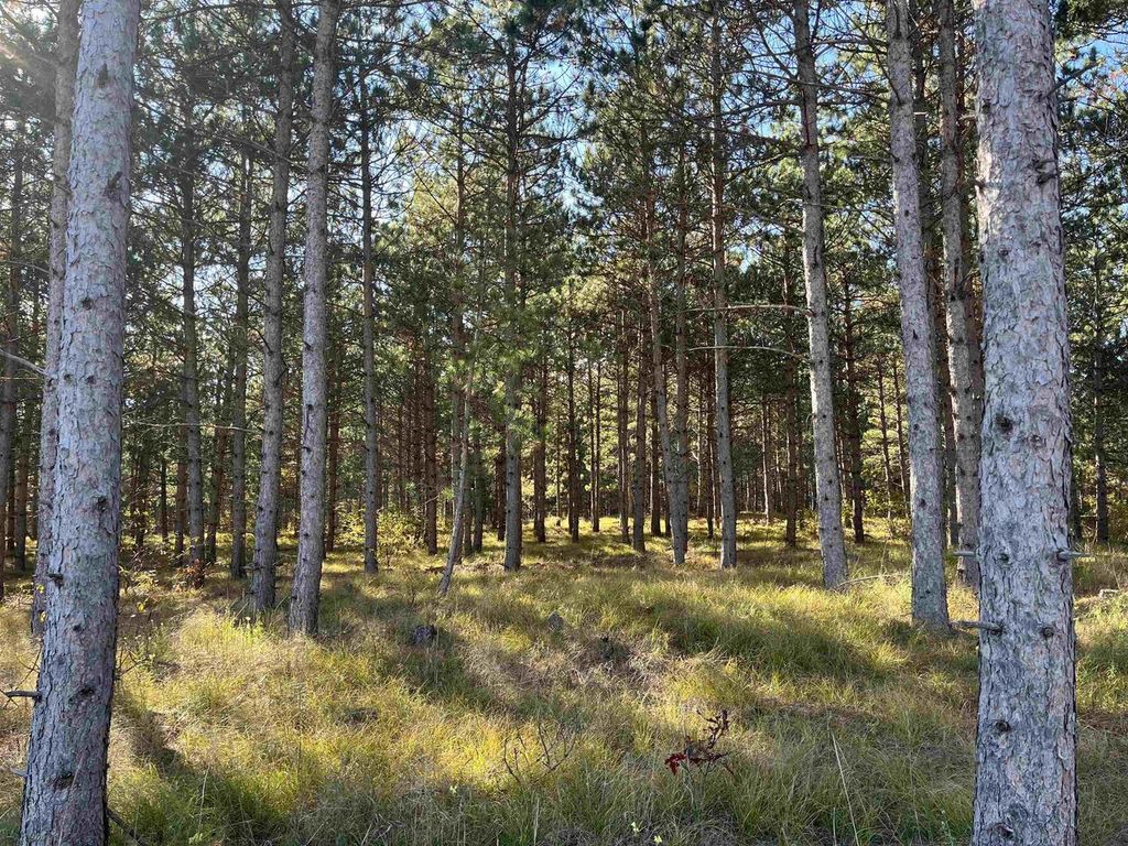 Photo of Lot 4 Luna LANE, Nekoosa, WI 54457 (MLS # 2016529)