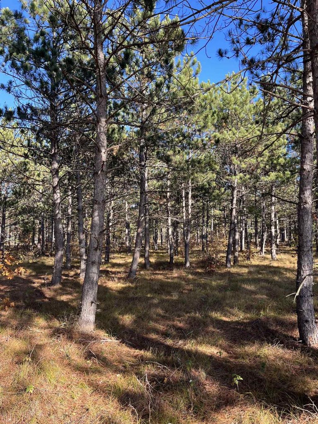 Photo of Lot 4 Luna LANE, Nekoosa, WI 54457 (MLS # 2016529)