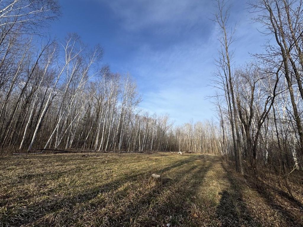 Photo of Pioneer DRIVE, Abrams, WI 54101 (MLS # 50321459)