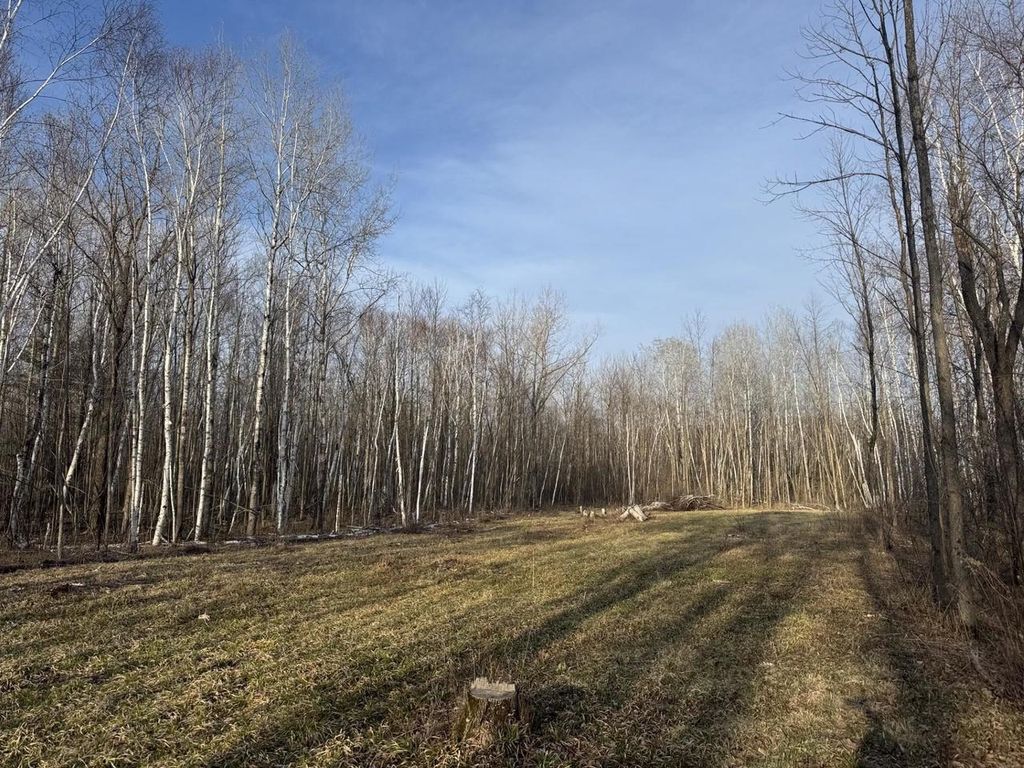 Photo of Pioneer DRIVE, Abrams, WI 54101 (MLS # 50321459)