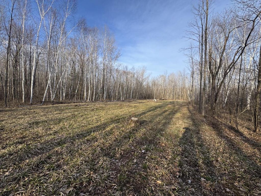 Photo of Pioneer DRIVE, Abrams, WI 54101 (MLS # 50321459)