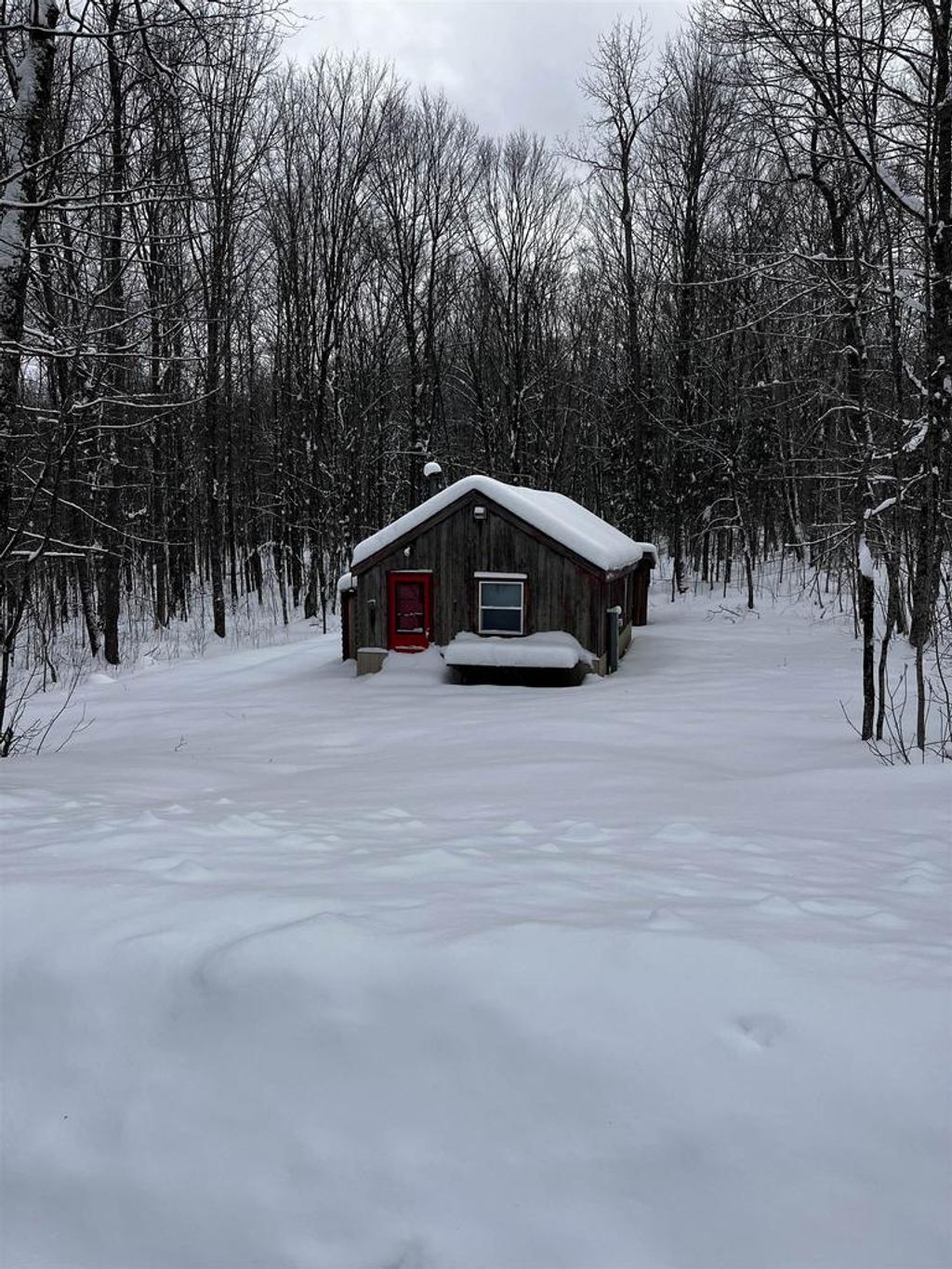 Photo of 11505 Shannon ROAD, Tipler, WI 54542 (MLS # 50319871)