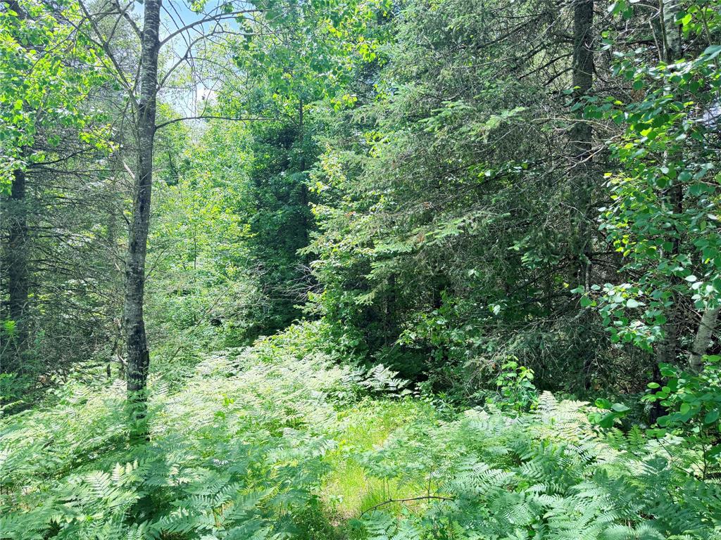 Photo of 0 Boat Landing ROAD, Ladysmith, WI 54848 (MLS # 1604813)