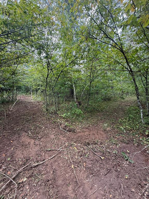Photo of 0 Boat Landing ROAD, Ladysmith, WI 54848 (MLS # 1604813)