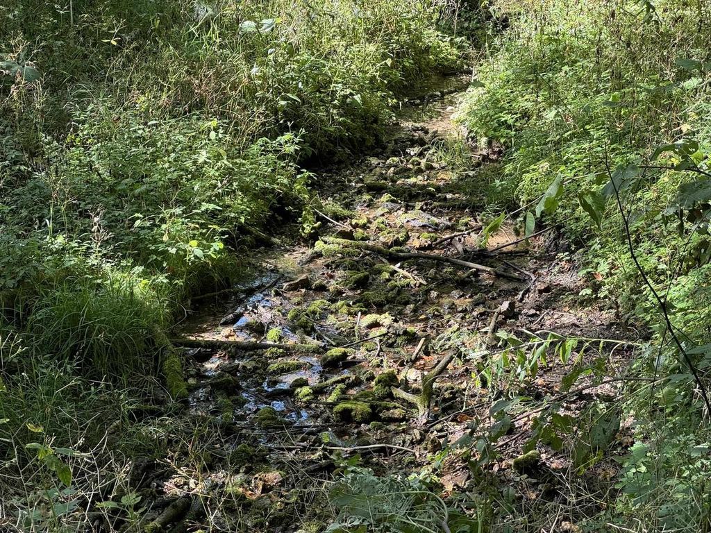 Photo of Lot 10 Murphy Road, Mineral Point, WI 53565 (MLS # 2019393)